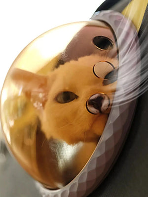 Portable Bubble Window Pet Carrier Bag - Makw Official Site