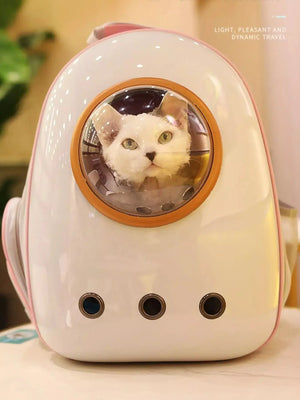Space Capsule Transparent Pet Carrier Backpack - Makw Official Site