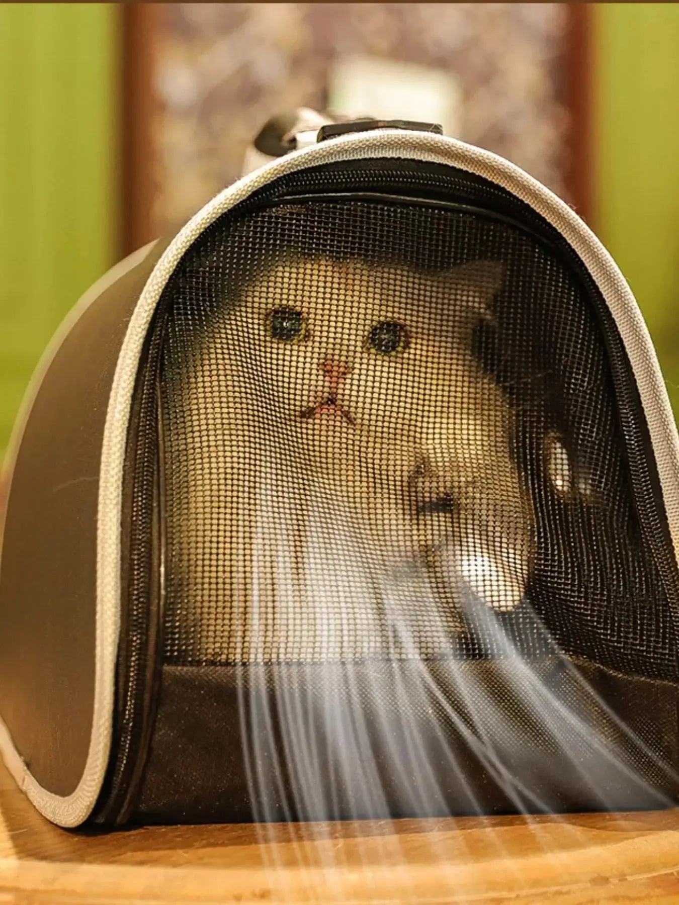 Portable Bubble Window Pet Carrier Bag - Makw Official Site