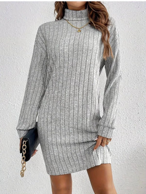 Ribbed Knit Turtleneck Mini Dress - Makw Official Site