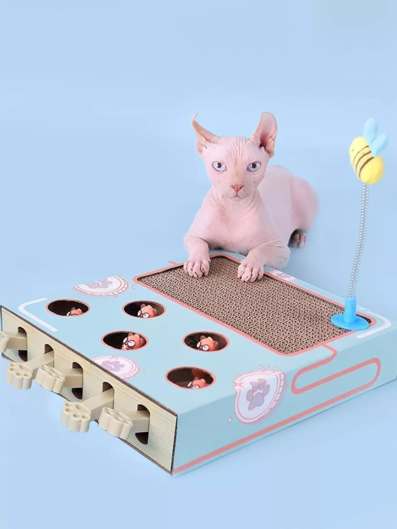 ee9b016a-4a65-4c71-82d4-96244a8e7f59-Max-Origin